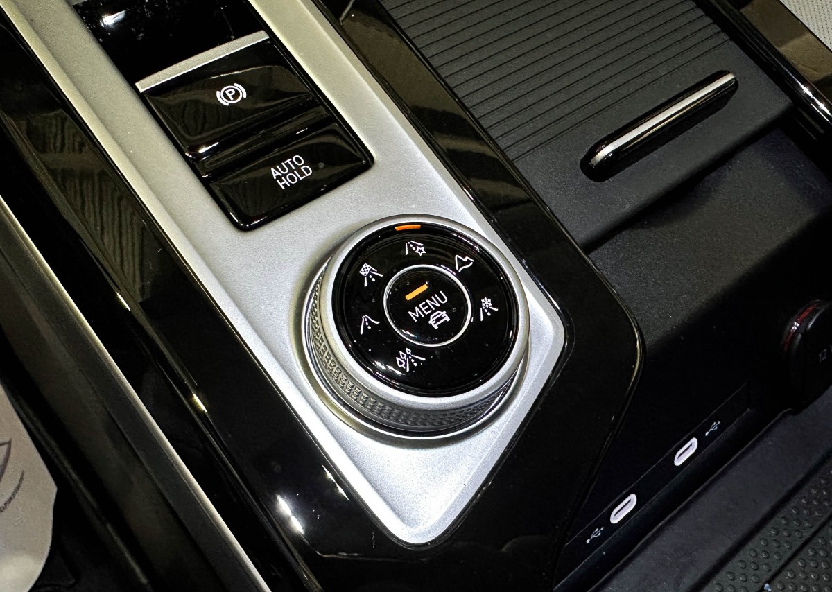 Volkswagen Tavendor - фото 29